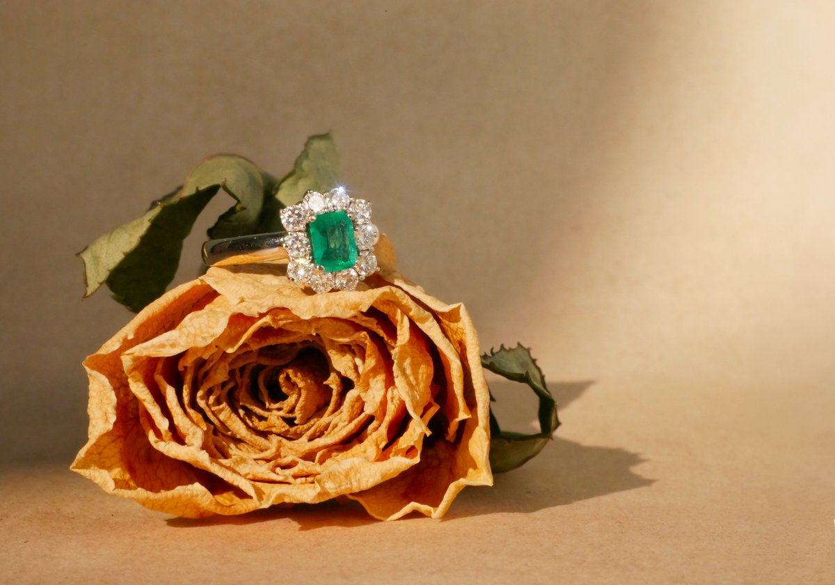 Designer engagement ring resting on a dried rose